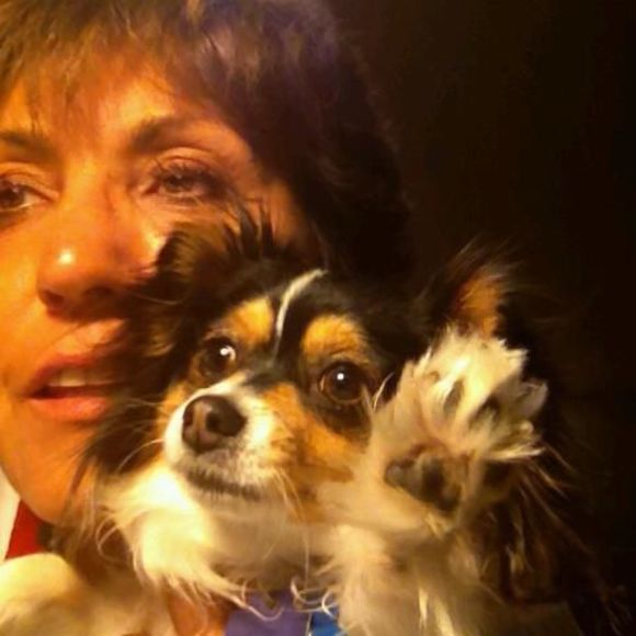 Meet your Posher, Estelle - Picture 1 of 1